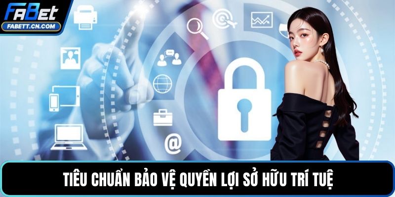 Tiêu chuẩn bảo vệ quyền lợi sở hữu trí tuệ