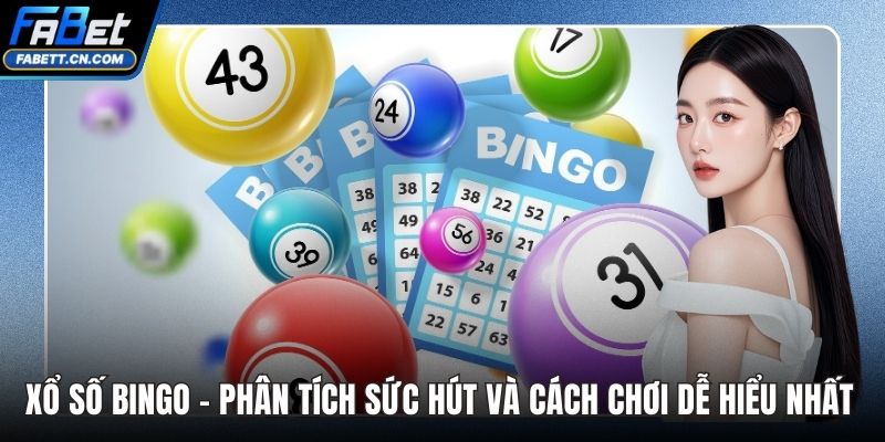 Xổ Số Bingo – Phân Tích Sức Hút Và Cách Chơi Dễ Hiểu Nhất Xổ Số Bingo